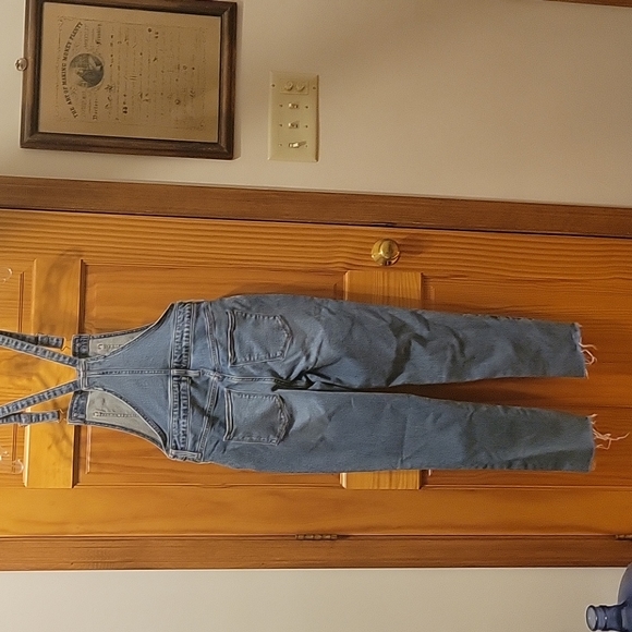 Adorable Universal Thread overalls - Picture 2 of 6
